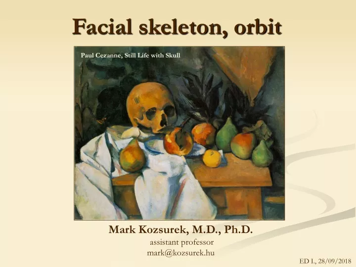 facial skeleton orbit
