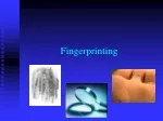 Fingerprinting - slide 1