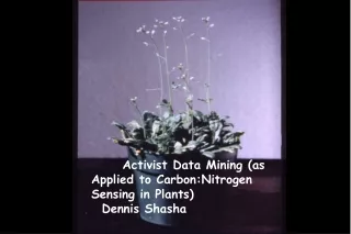 Activist Data Mining (as Applied to Carbon:Nitrogen Sensing in Plants)   Dennis Shasha