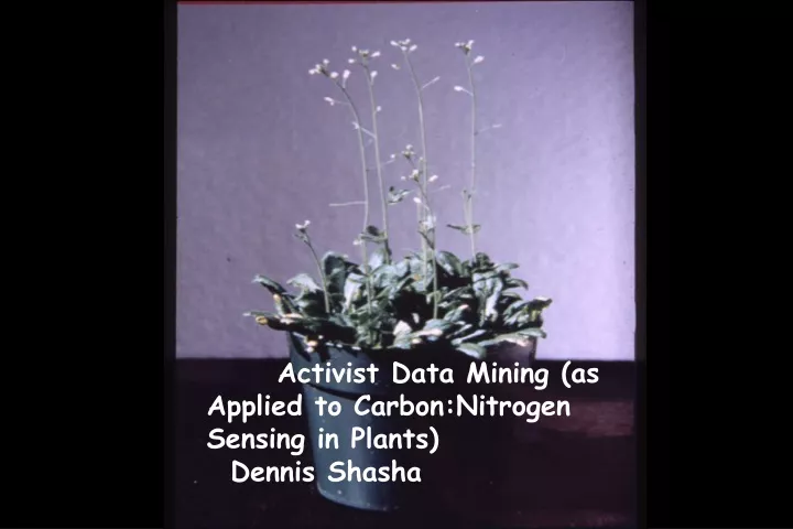 activist data mining as applied to carbon