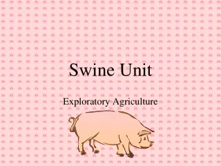 Swine Unit