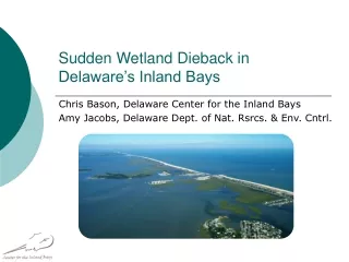Sudden Wetland Dieback in Delaware’s Inland Bays