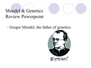 Mendel &amp; Genetics Review Powerpoint