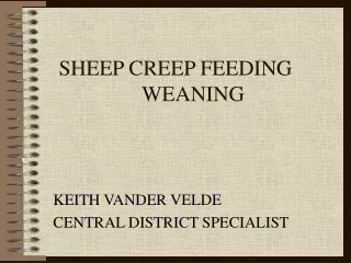 SHEEP CREEP FEEDING 	WEANING