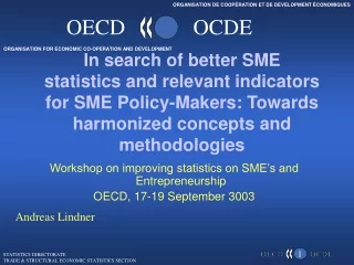 Workshop on improving statistics on SME’s and Entrepreneurship OECD, 17-19 September 3003