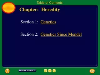 Chapter:  Heredity