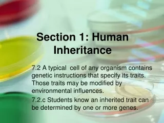 Section 1: Human Inheritance