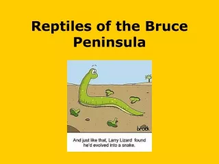 Reptiles of the Bruce Peninsula