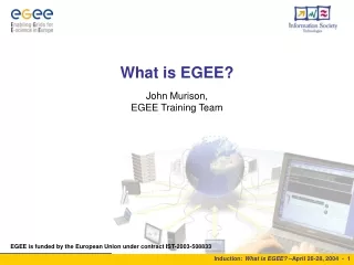 What is EGEE?
