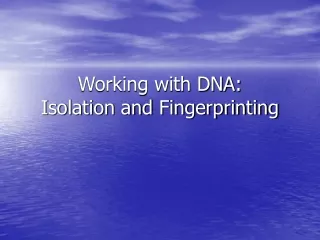 Working with DNA:   Isolation and Fingerprinting
