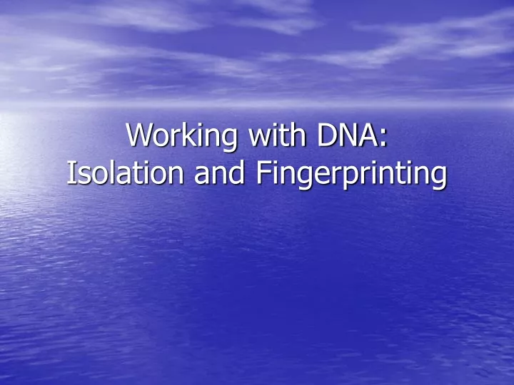 working with dna isolation and fingerprinting