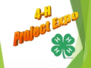 4-H  Project Expo