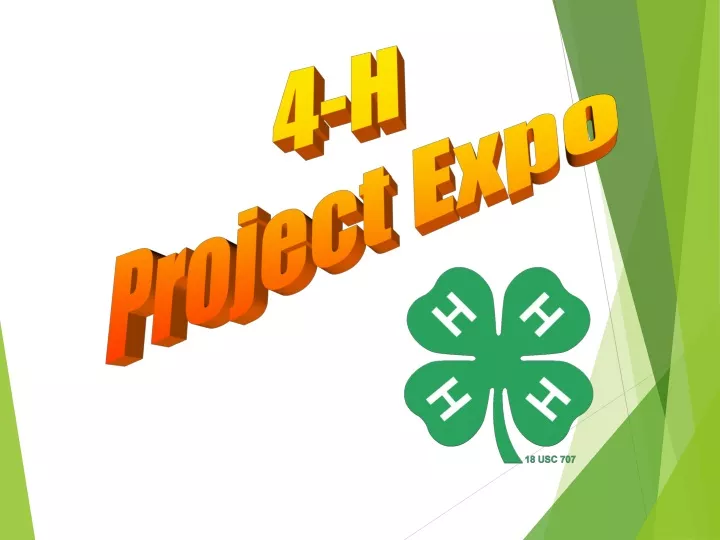 4 h project expo