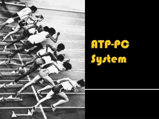 ATP-PC System