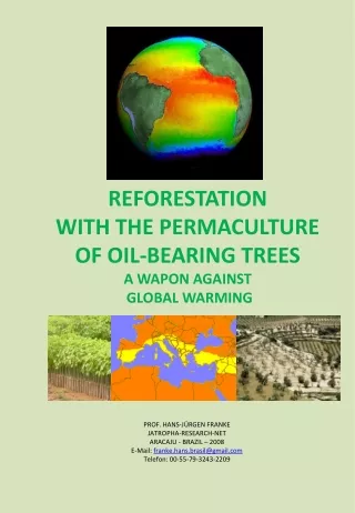 REFORESTATION WITH THE PERMACULTURE  OF OIL-BEARING TREES A WAPON AGAINST  GLOBAL WARMING