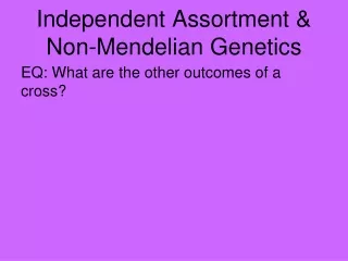 Independent Assortment &amp; Non-Mendelian Genetics