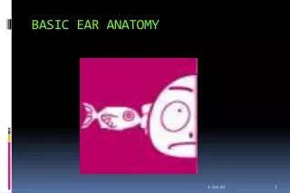 BASIC EAR ANATOMY