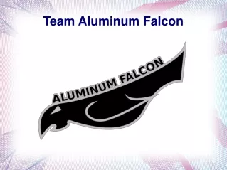 Team Aluminum Falcon