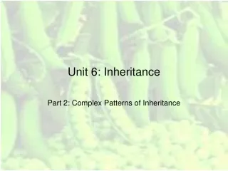 Unit 6: Inheritance