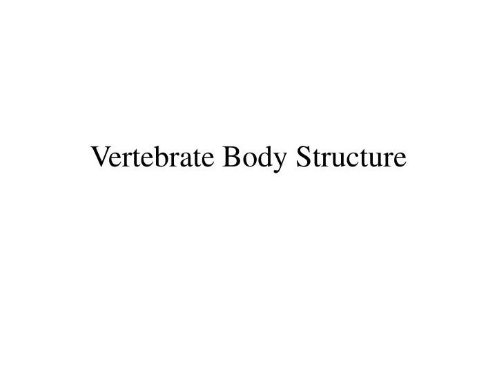 vertebrate body structure