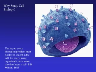 Why Study Cell Biology?