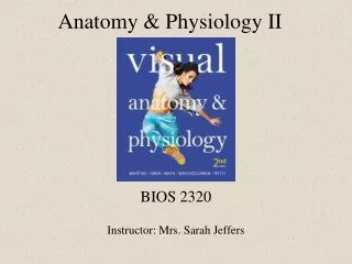 Anatomy &amp; Physiology II