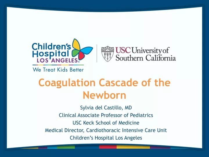 coagulation cascade of the newborn