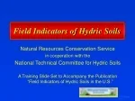 PPT - Field Indicators of Hydric Soils in the United States PowerPoint ...