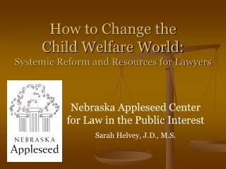 How to Change the  Child Welfare World: Systemic Reform and Resources for Lawyers
