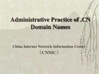 China Internet Network Information Center （CNNIC ）