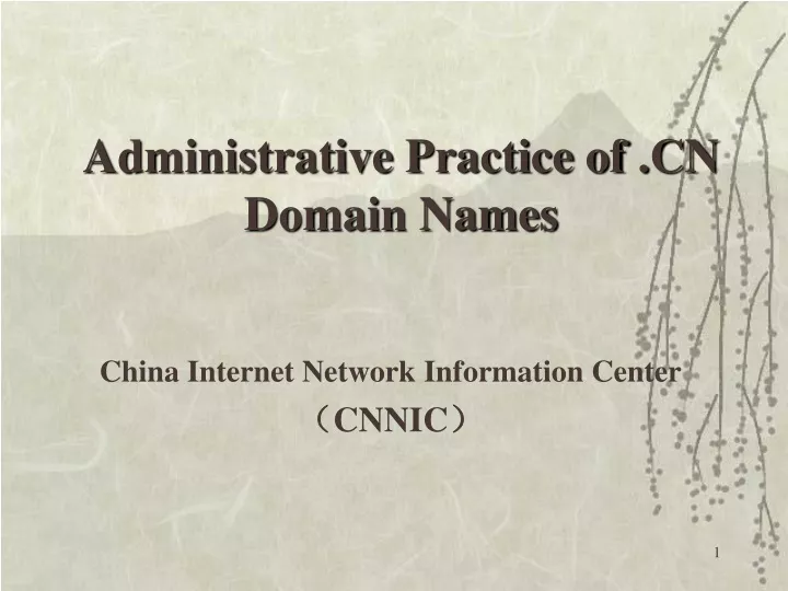 china internet network information center cnnic