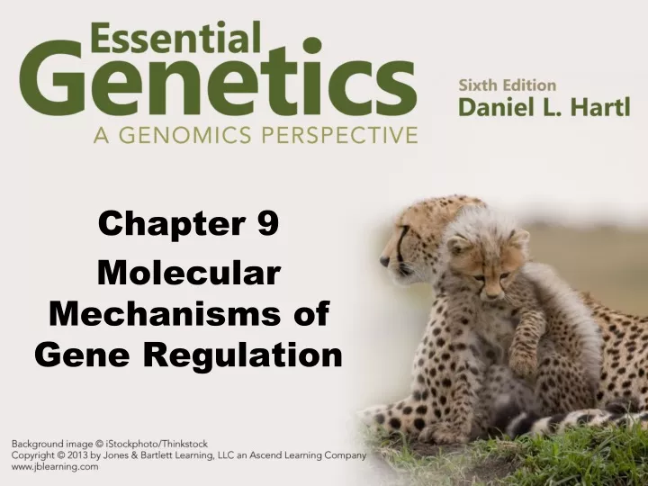 chapter 9 molecular mechanisms of gene regulation