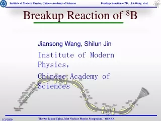 Breakup Reaction of  8 B
