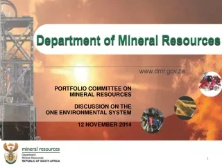PORTFOLIO COMMITTEE ON MINERAL RESOURCES  DISCUSSION ON THE ONE ENVIRONMENTAL SYSTEM