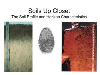 Soils Up Close: The Soil Profile and Horizon Characteristics