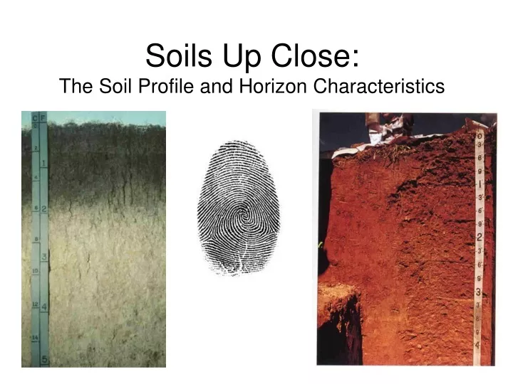 soils up close the soil profile and horizon characteristics