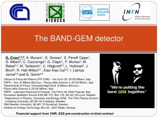 The BAND-GEM detector