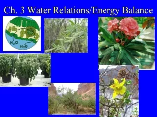 Ch. 3 Water Relations/Energy Balance