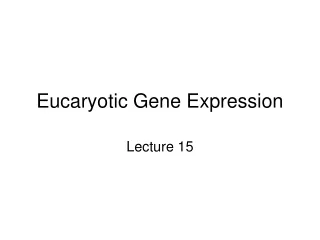 Eucaryotic Gene Expression