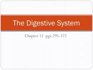 The Digestive System