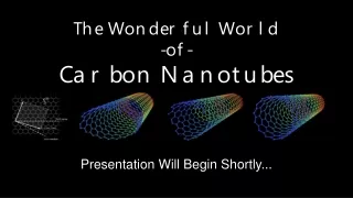 The Wonderful World  -of-  Carbon Nanotubes