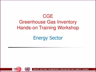 CGE Greenhouse Gas Inventory  Hands-on Training Workshop Energy Sector