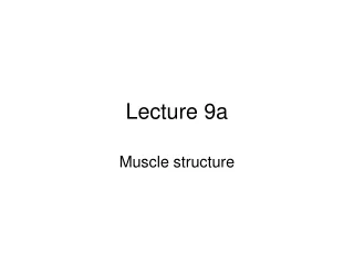 Lecture 9a