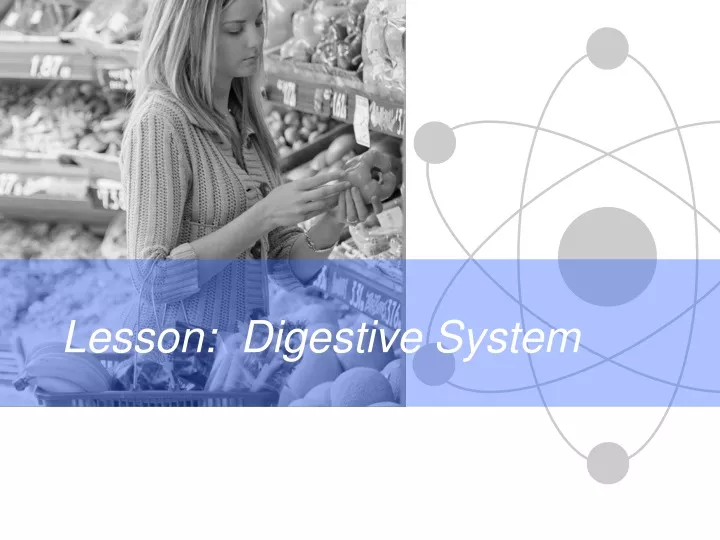 lesson digestive system