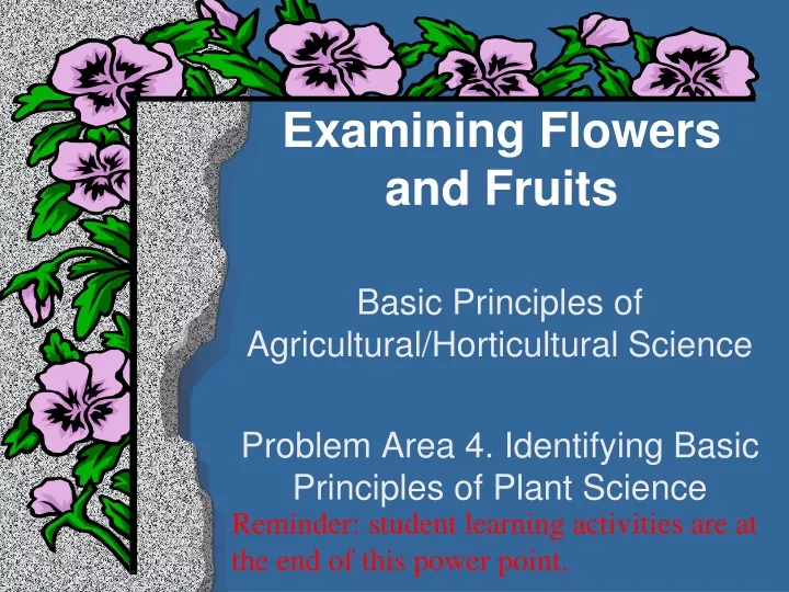 examining flowers and fruits