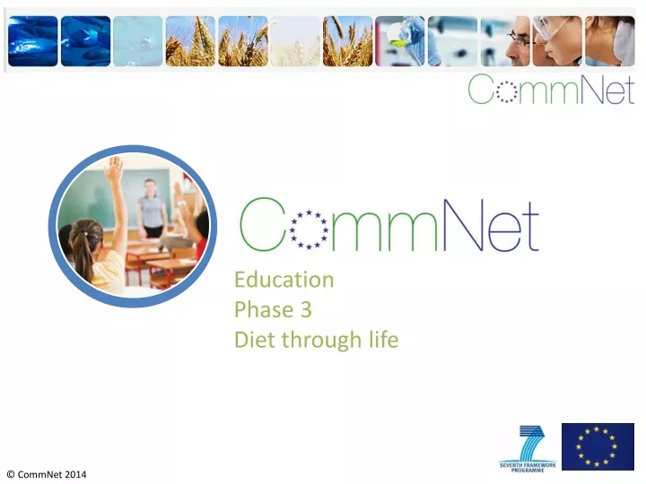 education phase 3 diet through life