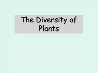 The Diversity of Plants