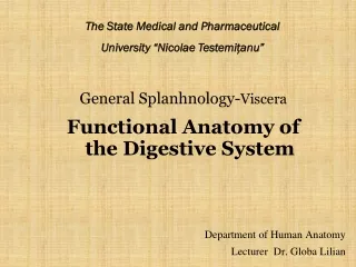 General Splanhnology- Viscera Functional Anatomy of the Digestive System