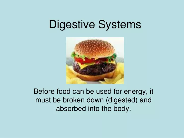 digestive systems
