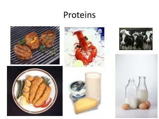 Proteins